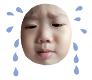 494086690