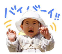 494087809