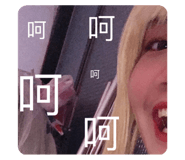 494091592
