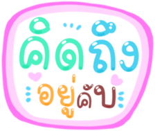 494094305
