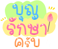 494094313