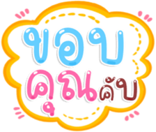494094381