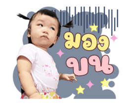 494096525