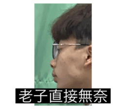 494097877