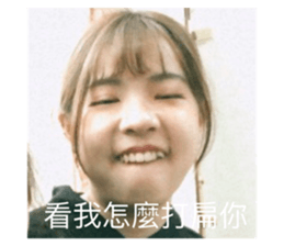 494106543