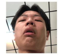 494106550