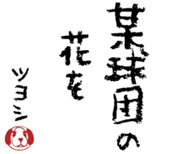 494111371