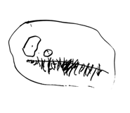 494127798