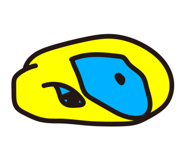 494127799