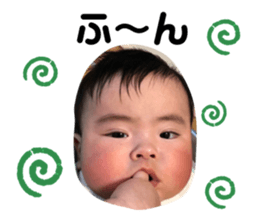494156548