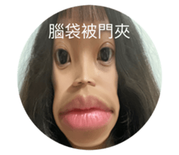 494166197