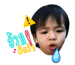 49417645