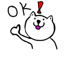 494322262