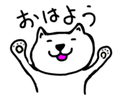 494322263