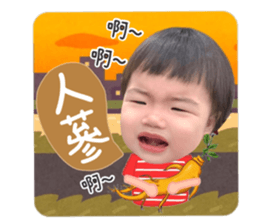 494337696