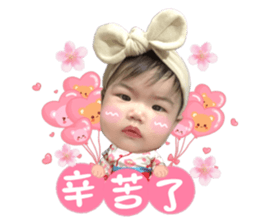 494337706