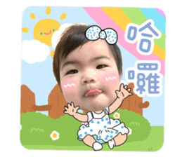 494337707