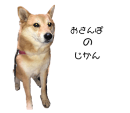 494339304