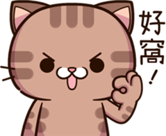 494343935