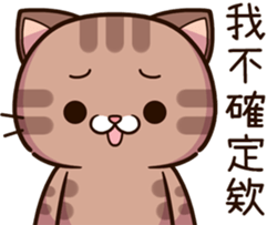 494343940