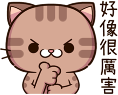 494343944