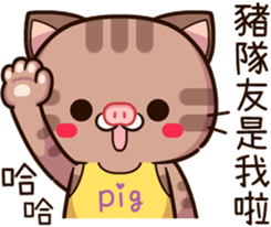 494343947