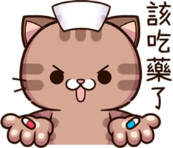 494343951
