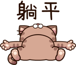 494343965