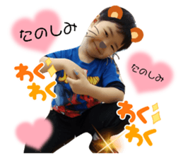 494357647
