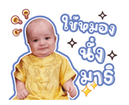 494408141