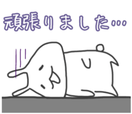 494409056