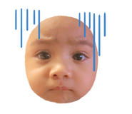 494409785