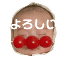 494413335