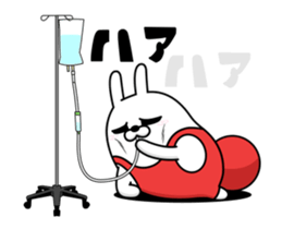 494413534