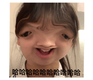494428953