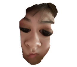 494430198