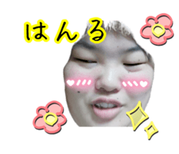 494437830