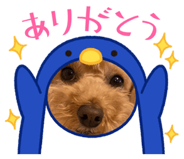494444532