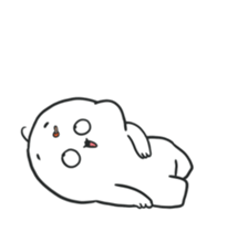 494450571