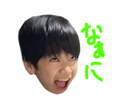 494451785