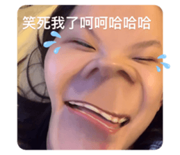 494475958