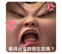 494475959