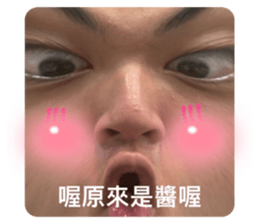 494475966