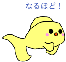 4945567