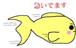 4945586