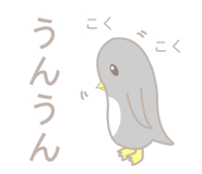 494595111
