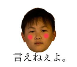 494615657