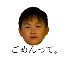 494615659