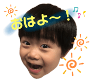 494636318