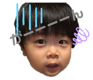 494636319